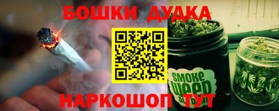 дживик Дубна