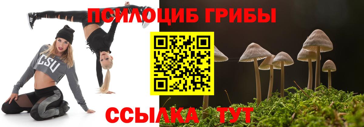 Кумертау  Галлюциногенные грибы Psilocybe  Вход с VPN 